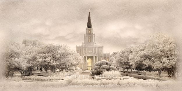 Picture of Houston Temple - Time and All Eternity (light series)