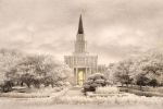 Picture of Houston Temple - Time and All Eternity (light series)
