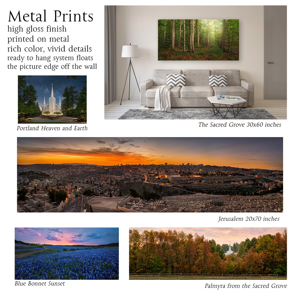 Metal Prints infographic
